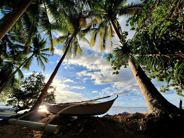 Les agences de location utilitaire : trouvez votre véhicule idéal